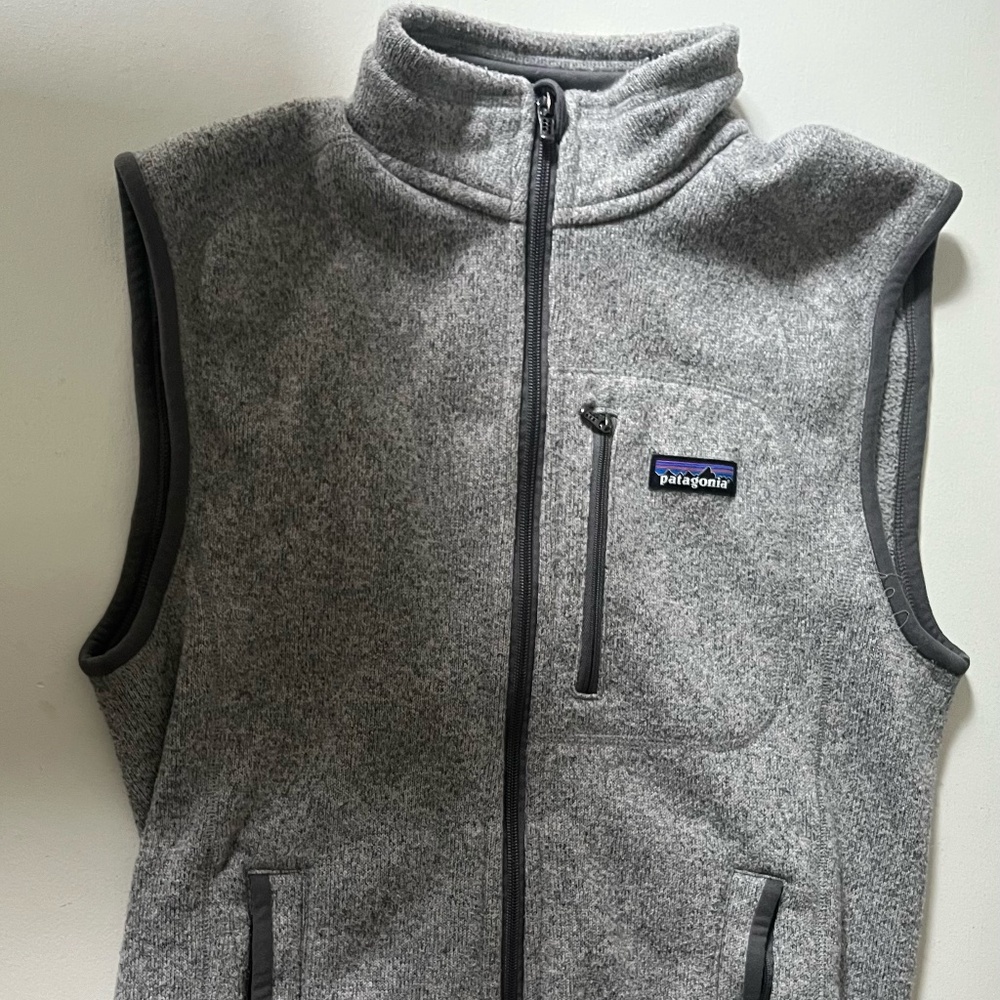 Patagonia Gray Fleece Vest